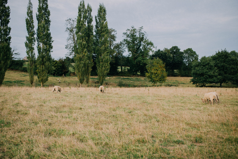 salomemacephotographie-L&P_Mariage-couple-326